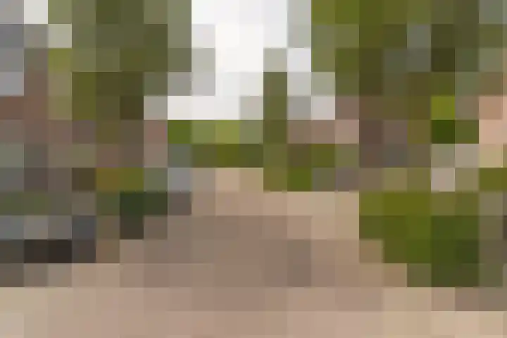 Hoefslag 8 Hulshorst thumbnail 57