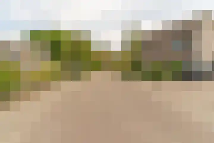 Hoefslag 8 Hulshorst thumbnail 58