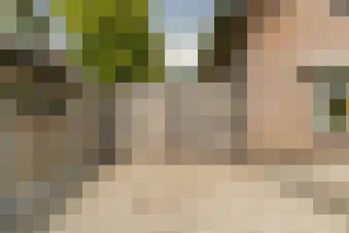 Hoefslag 8 Hulshorst thumbnail 6