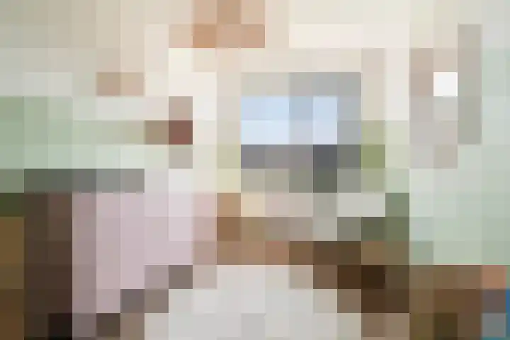Hoefslagendreef 92 Delft thumbnail 26