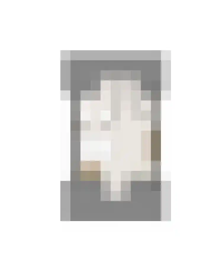 Hoefsmid 8 Weert thumbnail 11