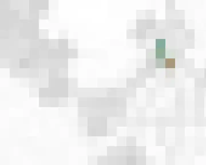 Hoefsmid 8 Weert thumbnail 4