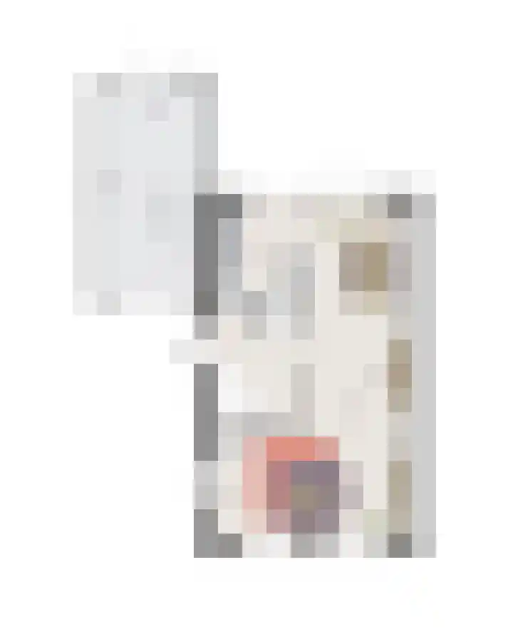 Hoefsmid 8 Weert thumbnail 6