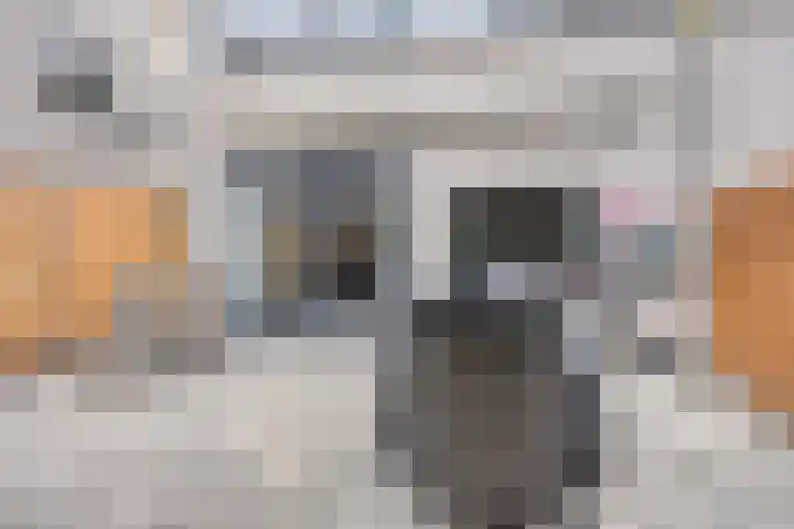 Hoefsmid 9 Leiderdorp thumbnail 16