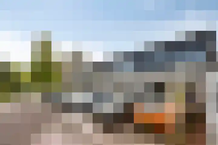 Hoefsmid 9 Leiderdorp thumbnail 26