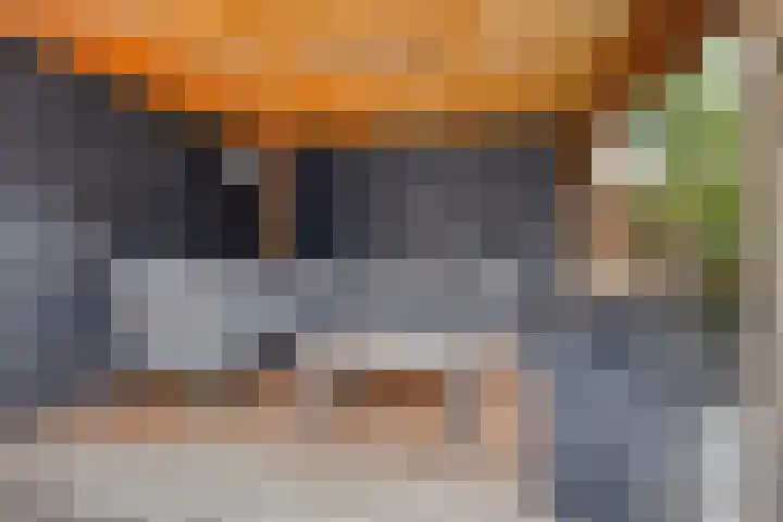 Hoefsmid 9 Leiderdorp thumbnail 4