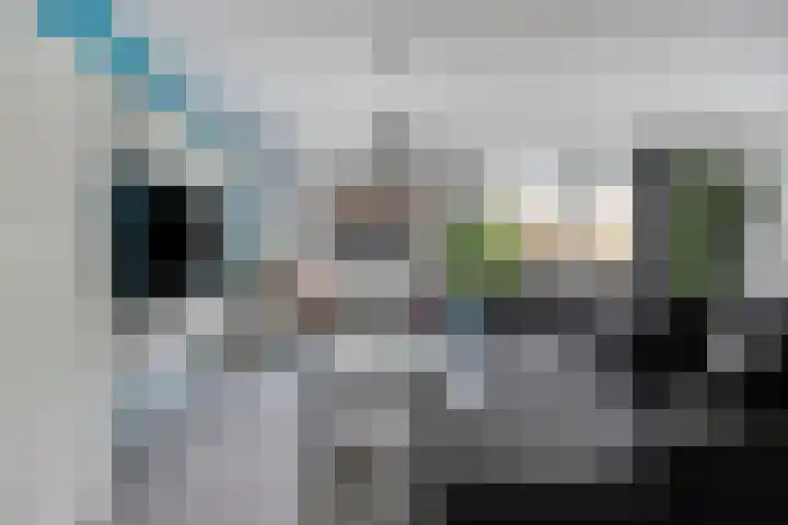 Hoefsmid 9 Leiderdorp thumbnail 9