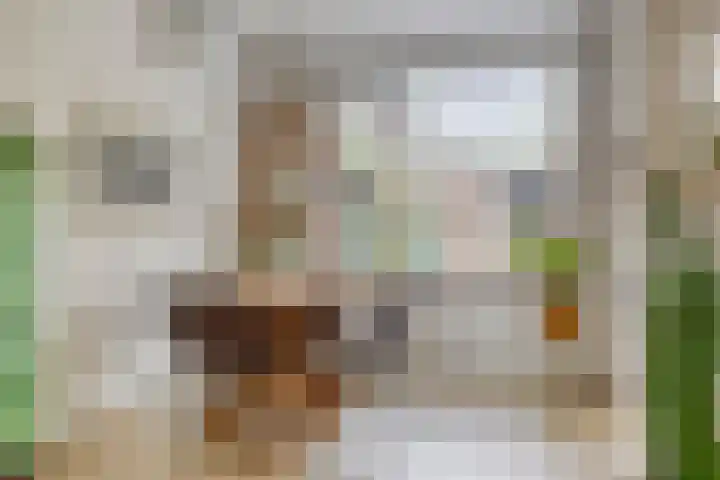 Hoefstraat 13 Oss thumbnail 13