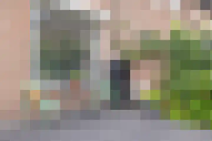 Hoefstraat 13 Oss thumbnail 17