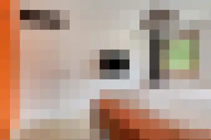 Hoefstraat 13 Oss thumbnail 24