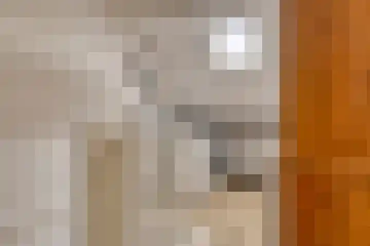 Hoefstraat 13 Oss thumbnail 31