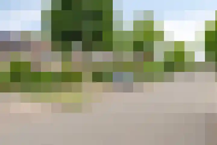 Hoefstraat 13 Oss thumbnail 35