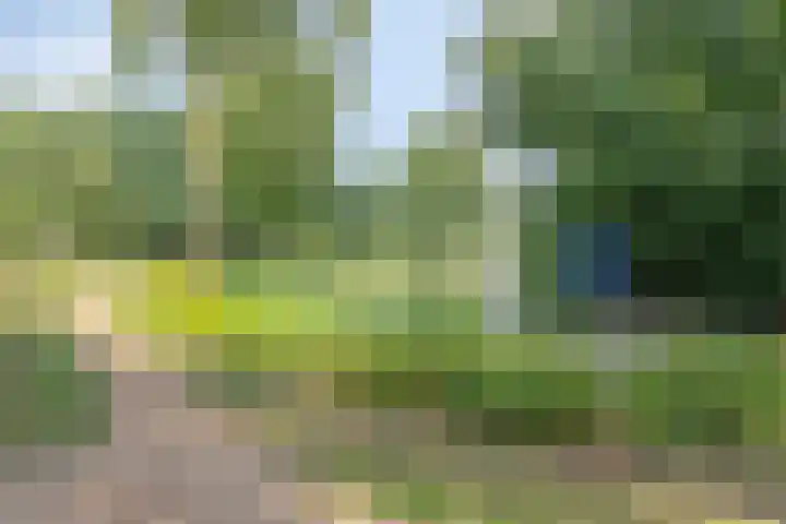 Hoefstraat 13 Oss thumbnail 37