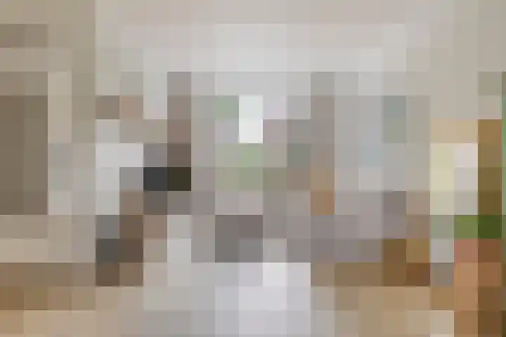 Hoefstraat 13 Oss thumbnail 9