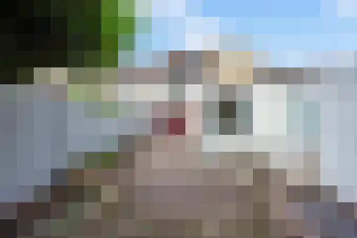 Hoefstraat 182 Tilburg thumbnail 37