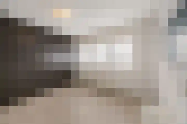 Hoefstraat 43 Horn thumbnail 14