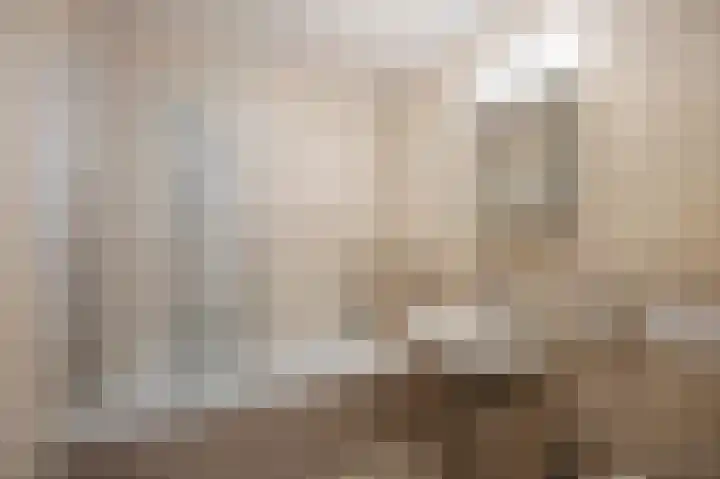 Hoefstraat 43 Horn thumbnail 19