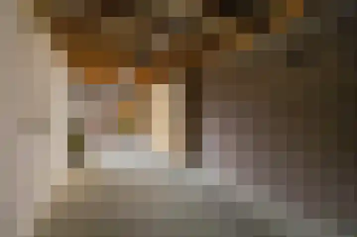 Hoefstraat 43 Horn thumbnail 26