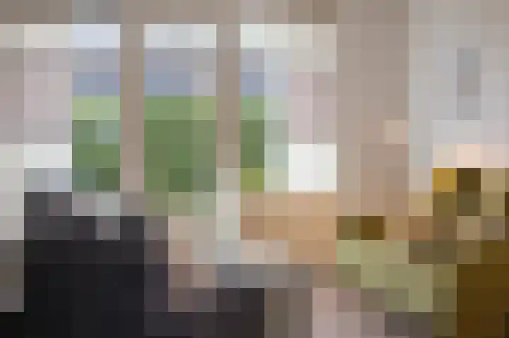 Hoefstraat 43 Horn thumbnail 5