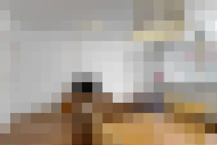 Hoefstraat 54 Leiden thumbnail 8