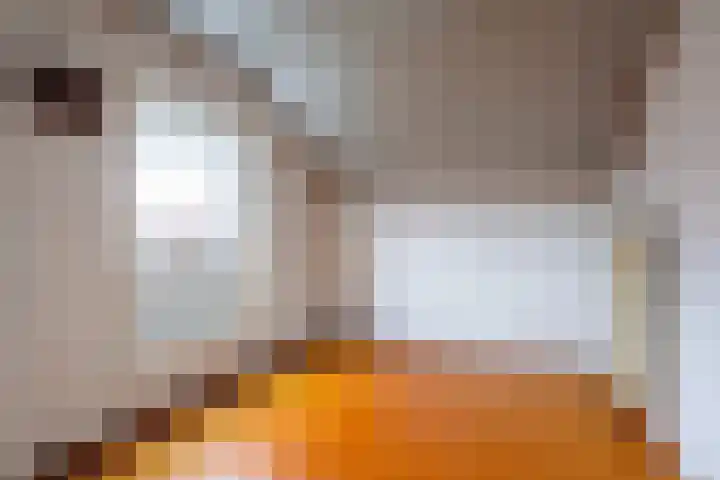 Hoefstraat 6 Heijen thumbnail 11