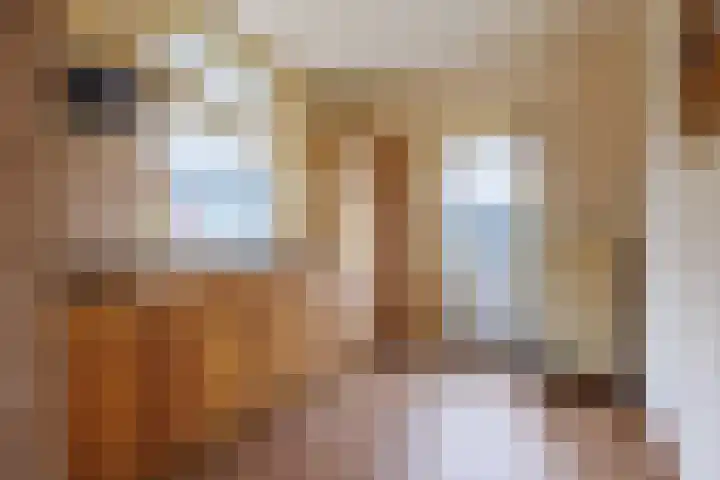 Hoefstraat 6 Heijen thumbnail 9