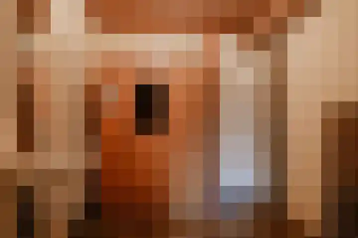 Hoefweg 18 Andel thumbnail 33