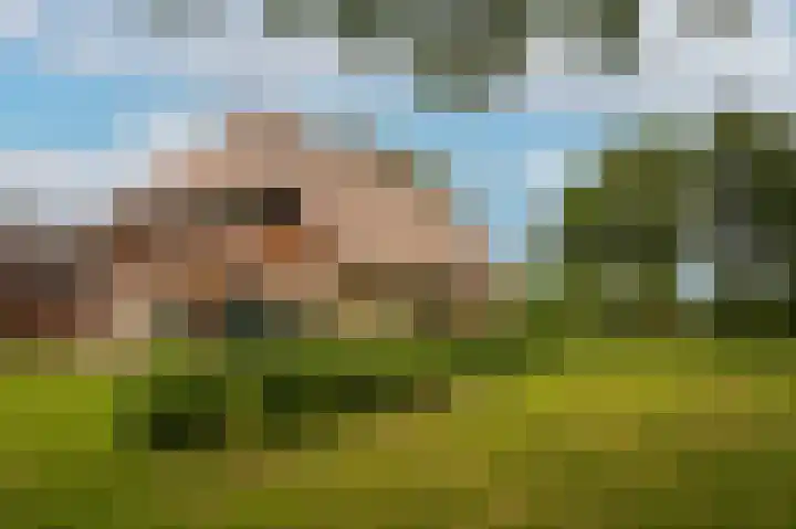 Hoefweg 18 Andel thumbnail 38