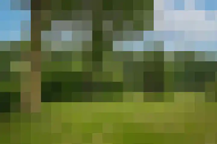 Hoefweg 18 Andel thumbnail 39