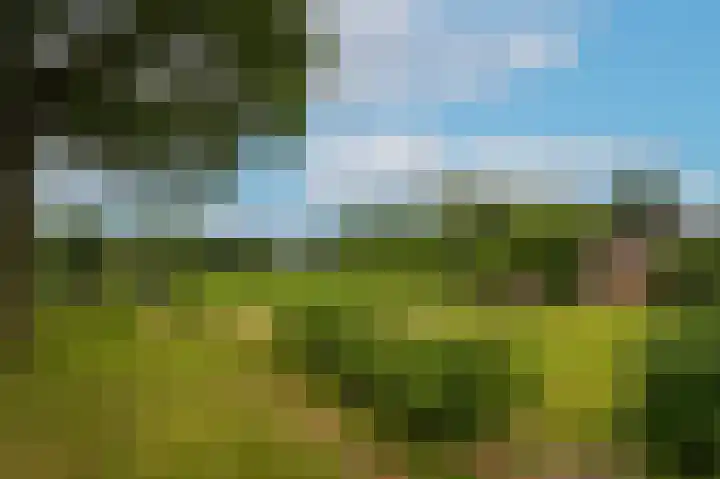 Hoefweg 18 Andel thumbnail 41
