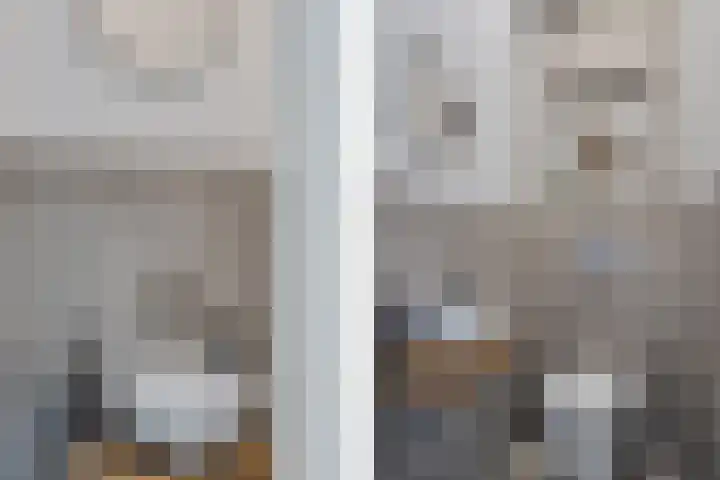 Hoefweg 20 Bleiswijk thumbnail 13