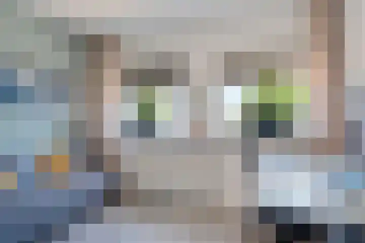 Hoefweg 20 Bleiswijk thumbnail 15