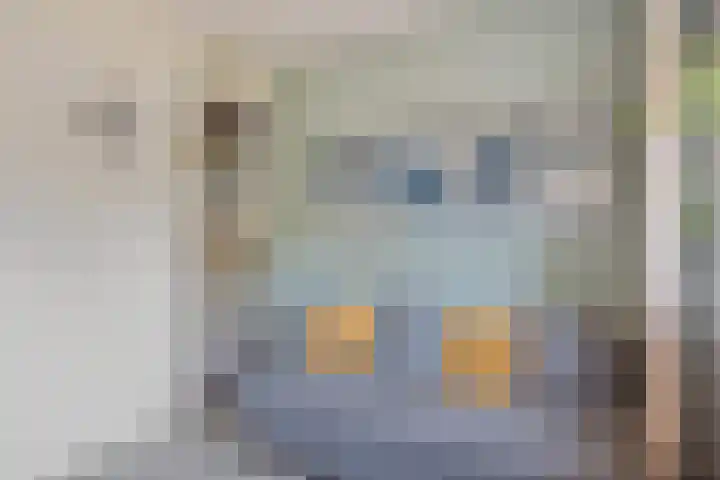 Hoefweg 20 Bleiswijk thumbnail 16