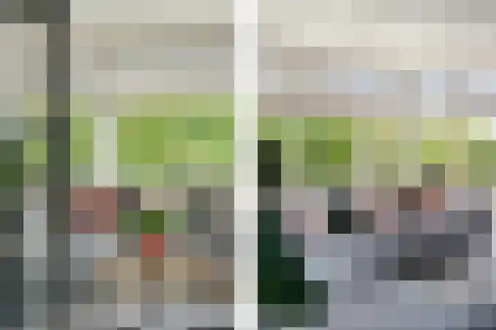 Hoefweg 20 Bleiswijk thumbnail 18