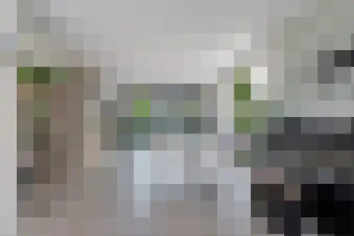 Hoefweg 20 Bleiswijk thumbnail 21