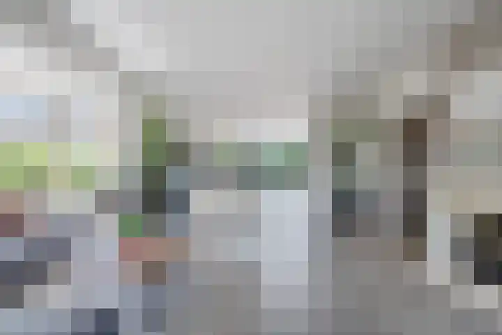 Hoefweg 20 Bleiswijk thumbnail 28
