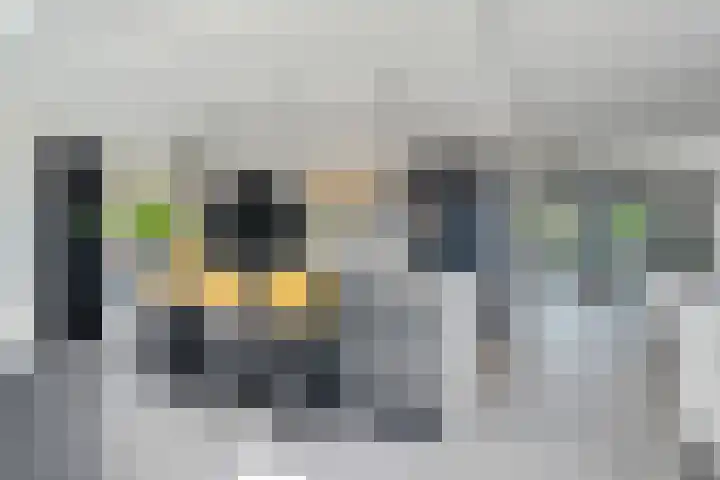 Hoefweg 20 Bleiswijk thumbnail 39