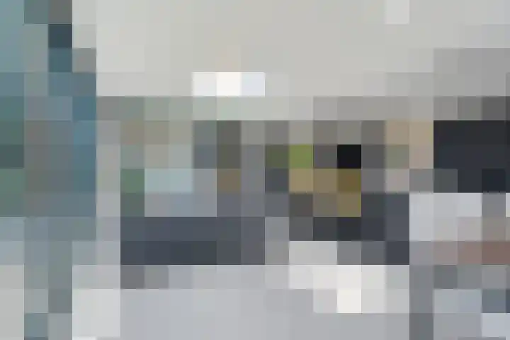 Hoefweg 20 Bleiswijk thumbnail 41