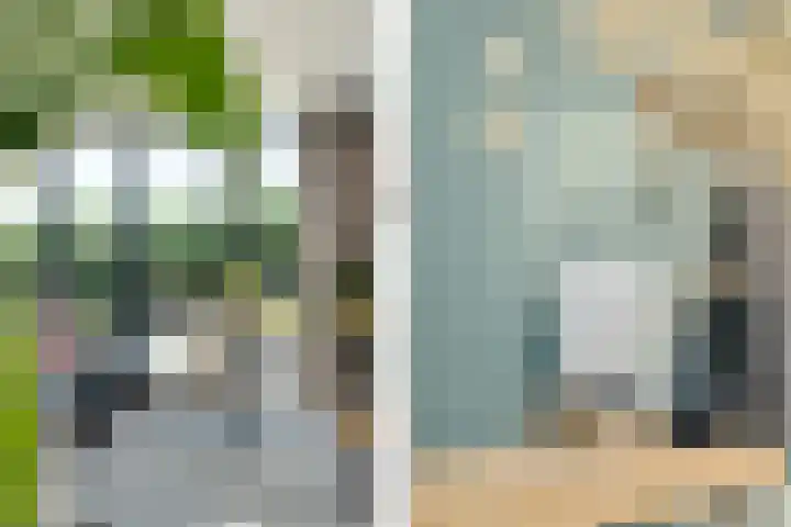 Hoefweg 20 Bleiswijk thumbnail 45