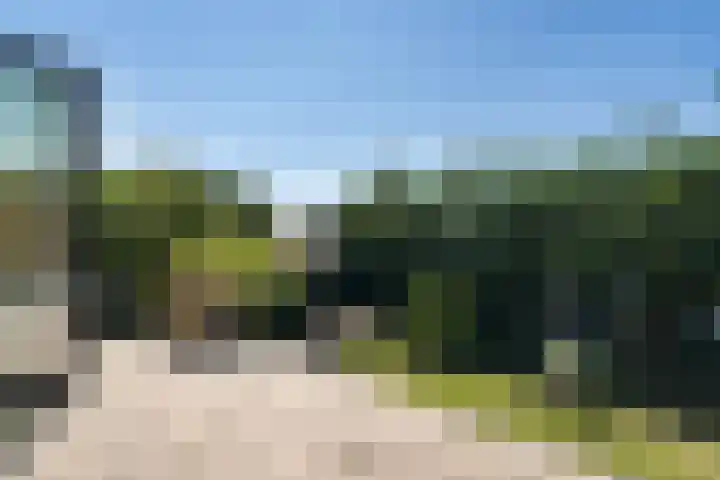 Hoefweg 20 Bleiswijk thumbnail 47