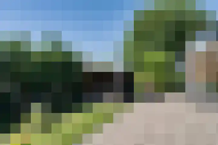 Hoefweg 20 Bleiswijk thumbnail 48