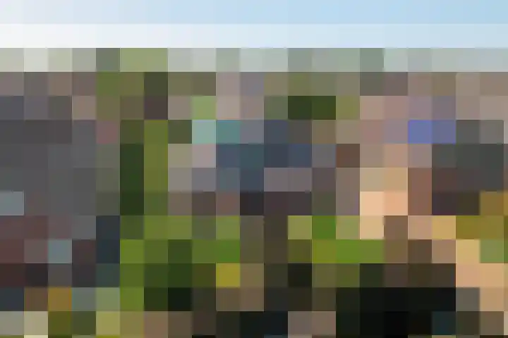 Hoefweg 20 Bleiswijk thumbnail 5
