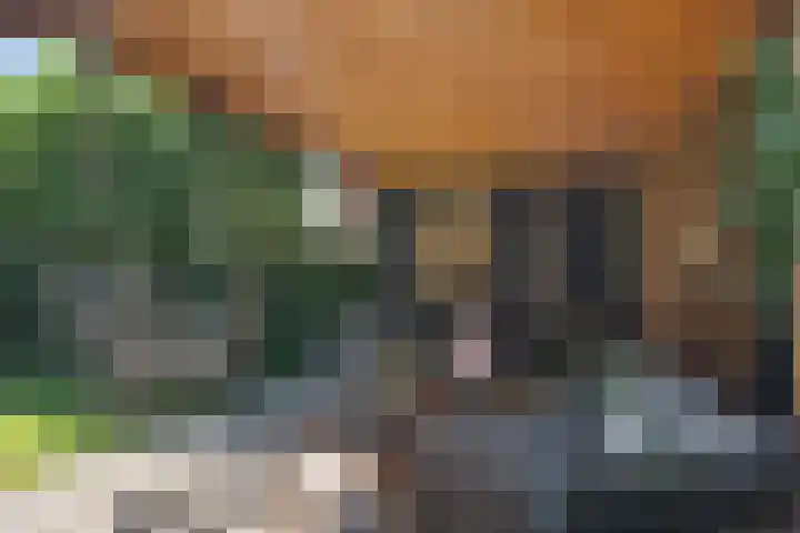Hoefweg 20 Bleiswijk thumbnail 50