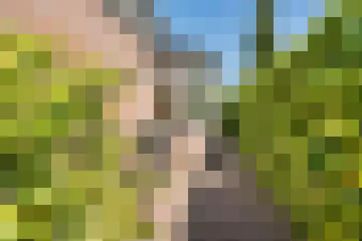 Hoefweg 20 Bleiswijk thumbnail 53
