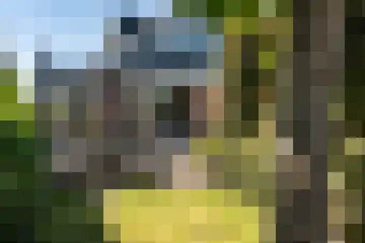 Hoefweg 20 Bleiswijk thumbnail 55