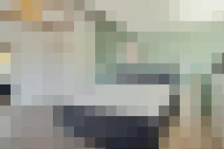 Hoefweg 20 Bleiswijk thumbnail 68