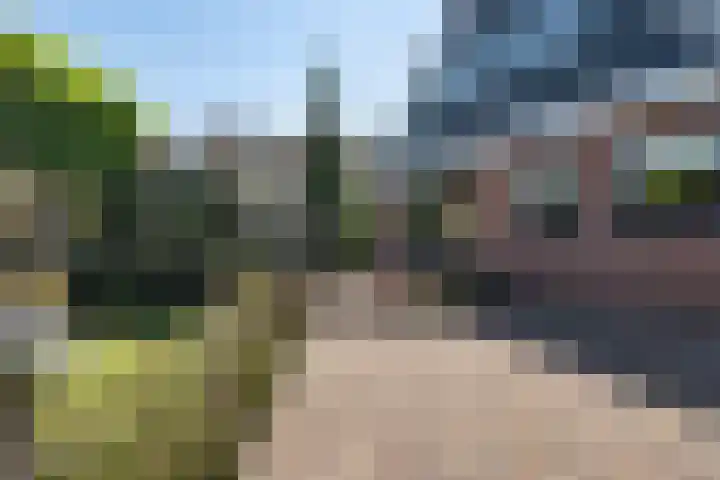 Hoefweg 20 Bleiswijk thumbnail 7
