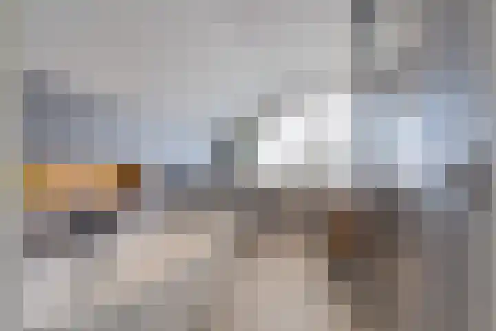 Hoefweg 20 Bleiswijk thumbnail 73