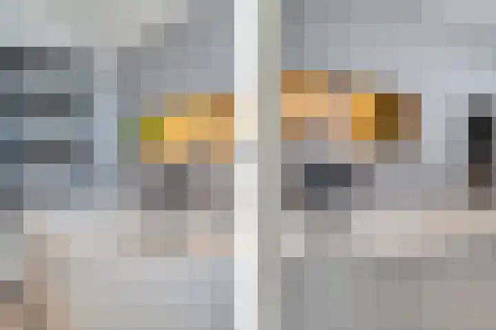 Hoefweg 20 Bleiswijk thumbnail 75