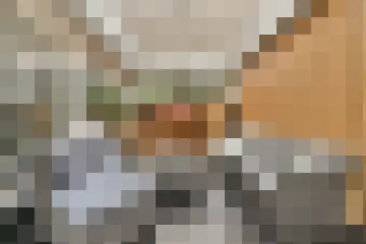 Hoefweg 3 Bleiswijk thumbnail 12